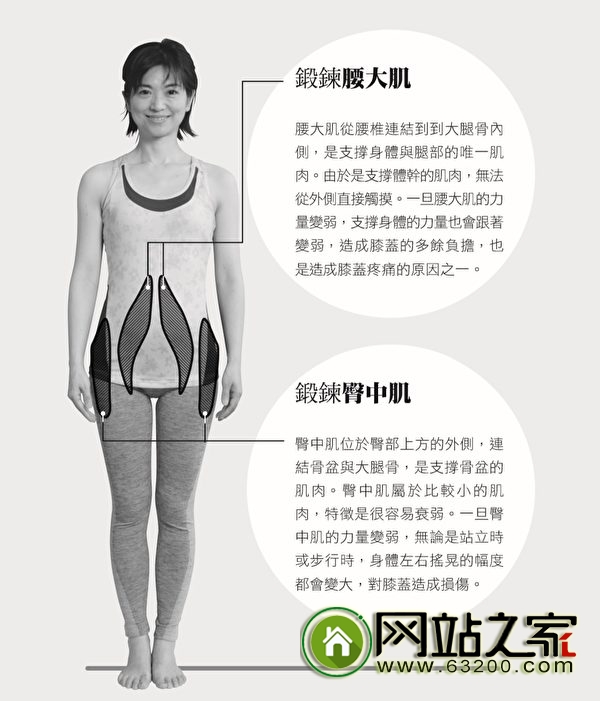 每天2个动作 让膝盖变年轻!躺着就能做