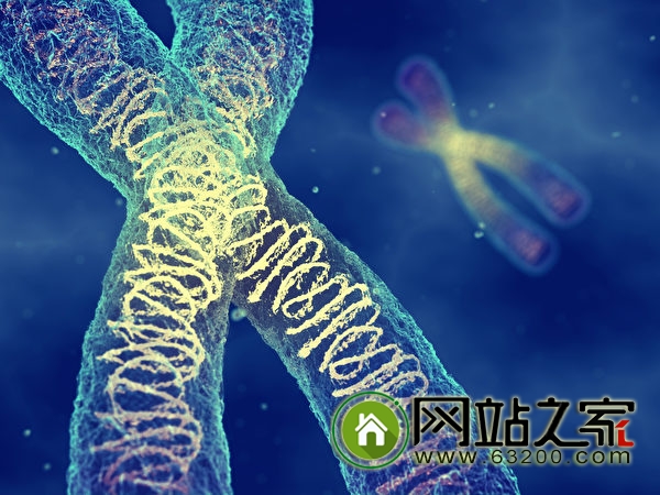 18岁男孩离世引震动 基因治疗打开潘多拉魔盒?