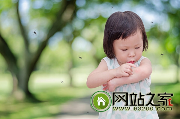 除了当食物之外 马铃薯还有这些妙用