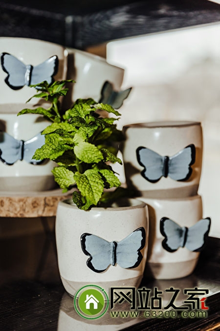 蜜蜂、蝴蝶、鸟:用动物装饰品布置你的家