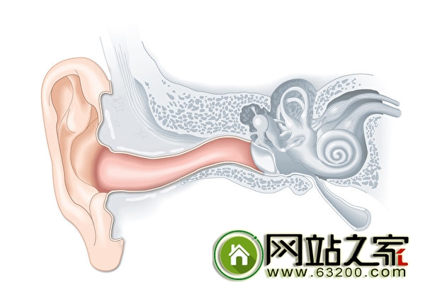 为什么有些人的耳垢比较多?